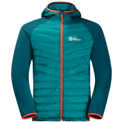 Jack Wolfskin Takki 286HZ48947 | Miesten Routeburn Pro Hybrid Jack Wolfskin Bay Blue Origins bayn sininen
